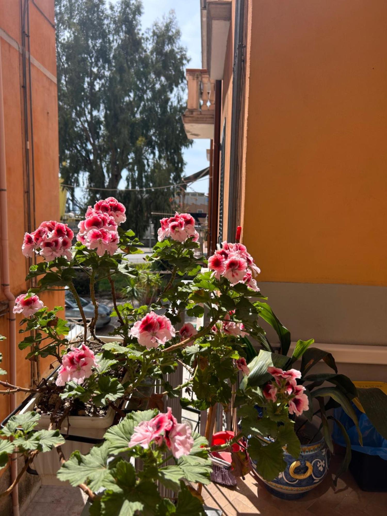 Sissi House Salerno Διαμέρισμα Εξωτερικό φωτογραφία